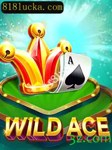 Explorando o Mundo de WildAce: Um Guia Completo